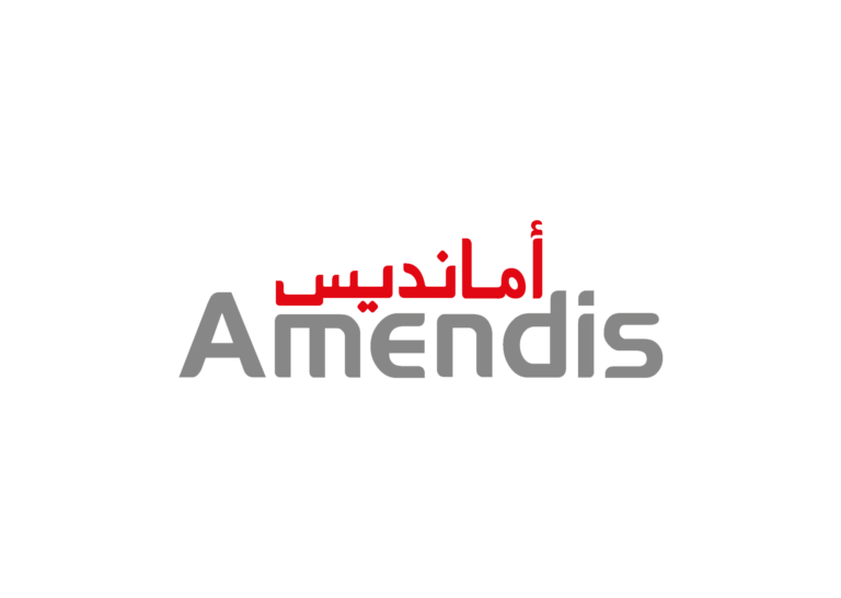 Logo Amendis-03